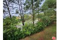 Additional image 32 of 8 Aspen Way, Rolling Hills Estates, CA, 90274