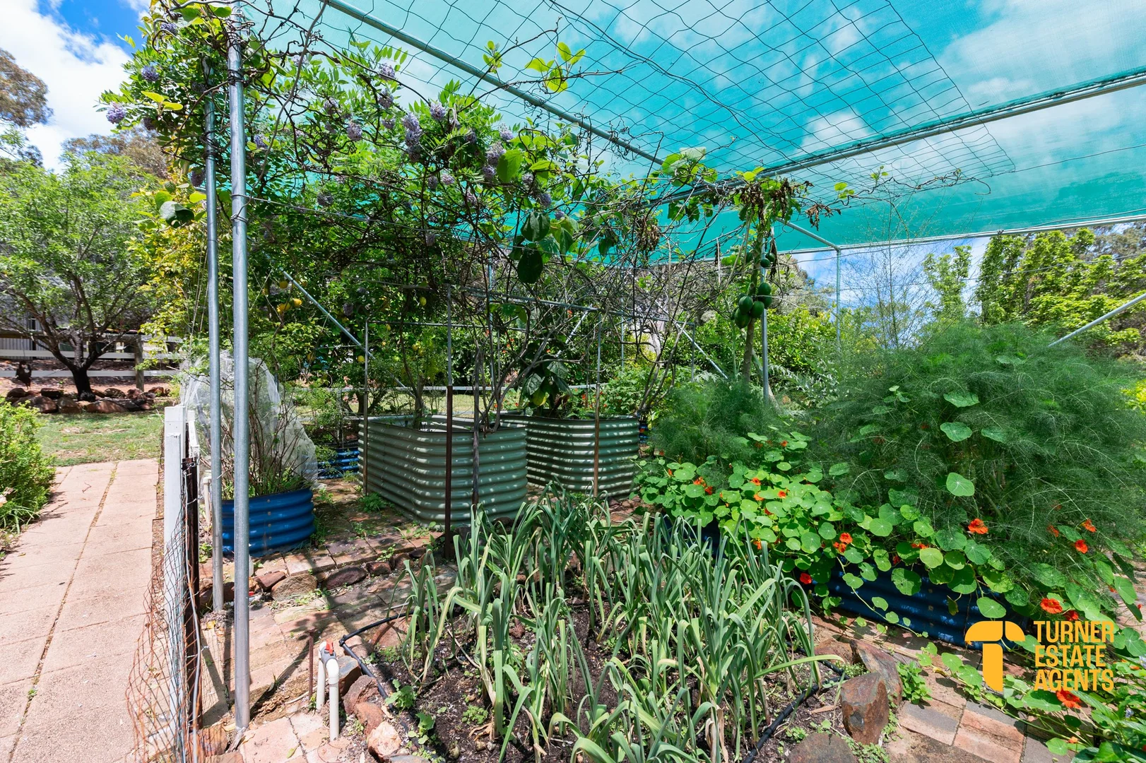 Additional image 58 of 181 Jarrahdale Road, Jarrahdale WA 6124