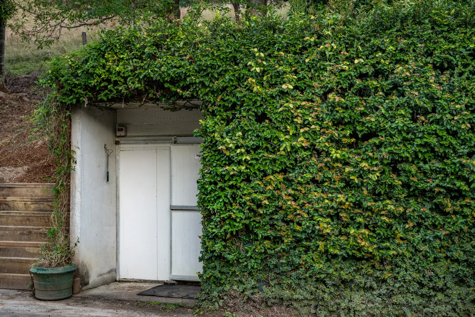 Additional image 25 of Sleepy Hollow NSW 2483