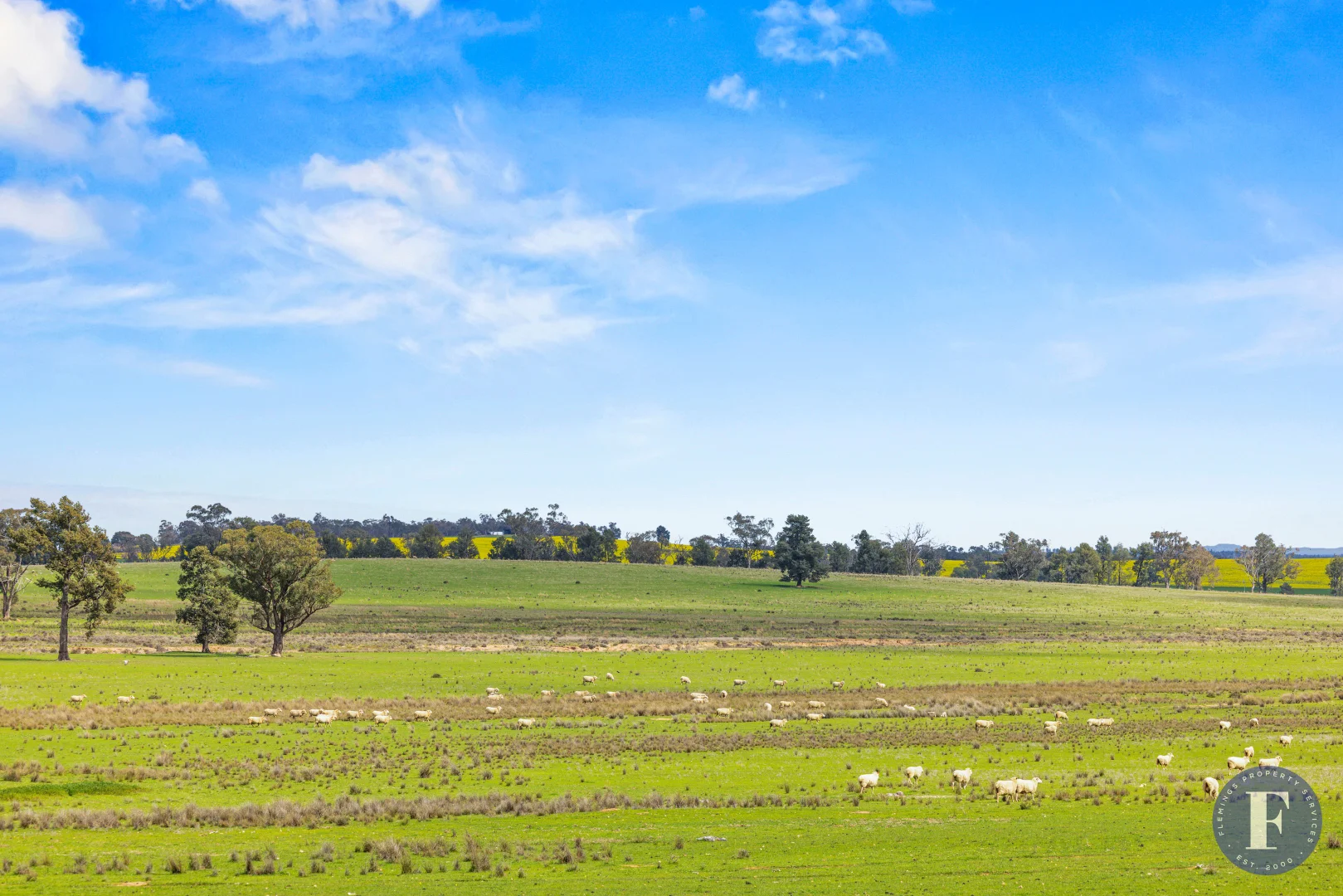 Additional image 25 of 893 Deaths Lane, Pullabooka NSW 2810
