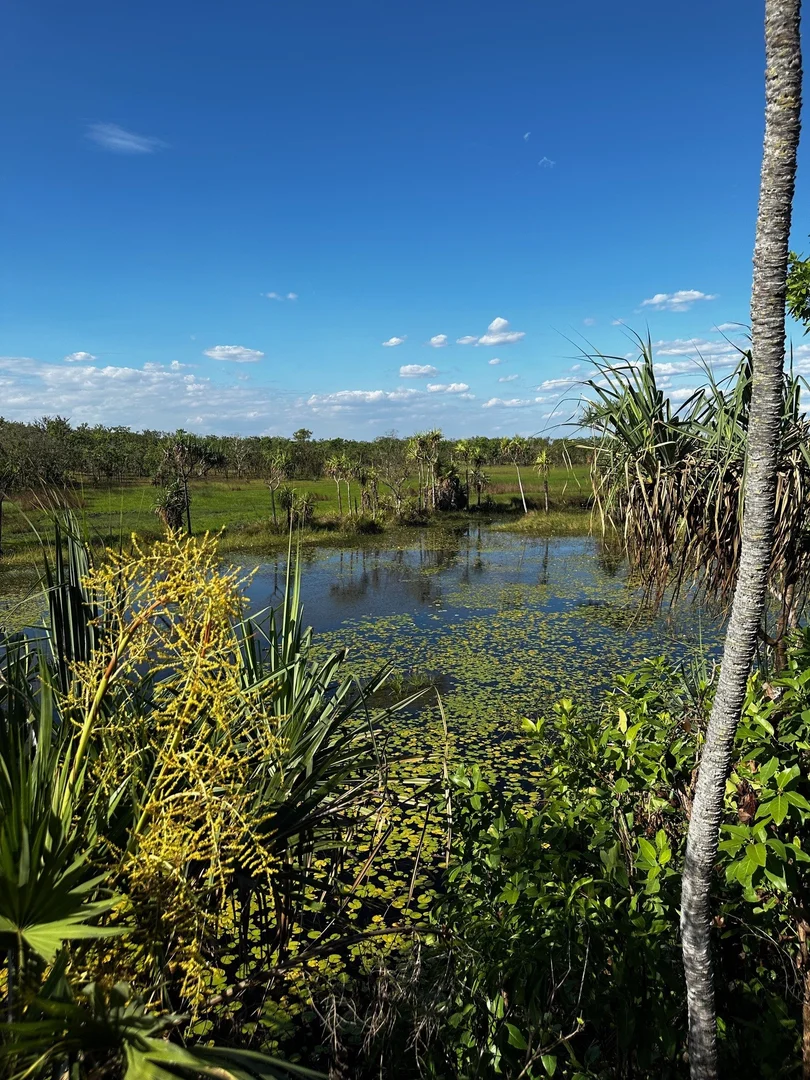 Additional image 8 of Darwin River NT 0841