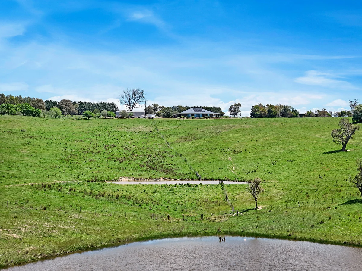 Additional image 28 of 3108 Middle Arm Road, Roslyn, Goulburn NSW 2580