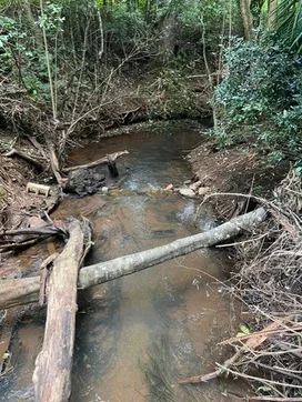 Additional image 9 of Ravensbourne QLD 4352