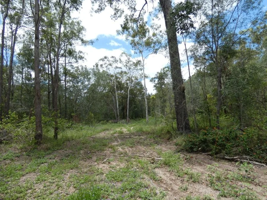 Additional image 15 of Lot 41 Moolyung Road, Waterloo QLD 4673