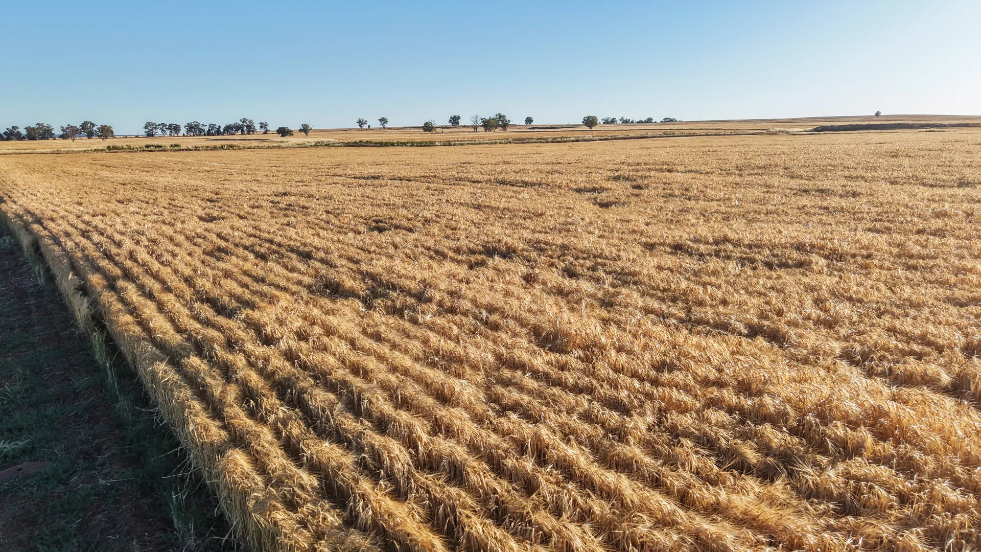 Additional image 10 of The Ranch 27R Plain Creek Road, Wongarbon NSW 2831