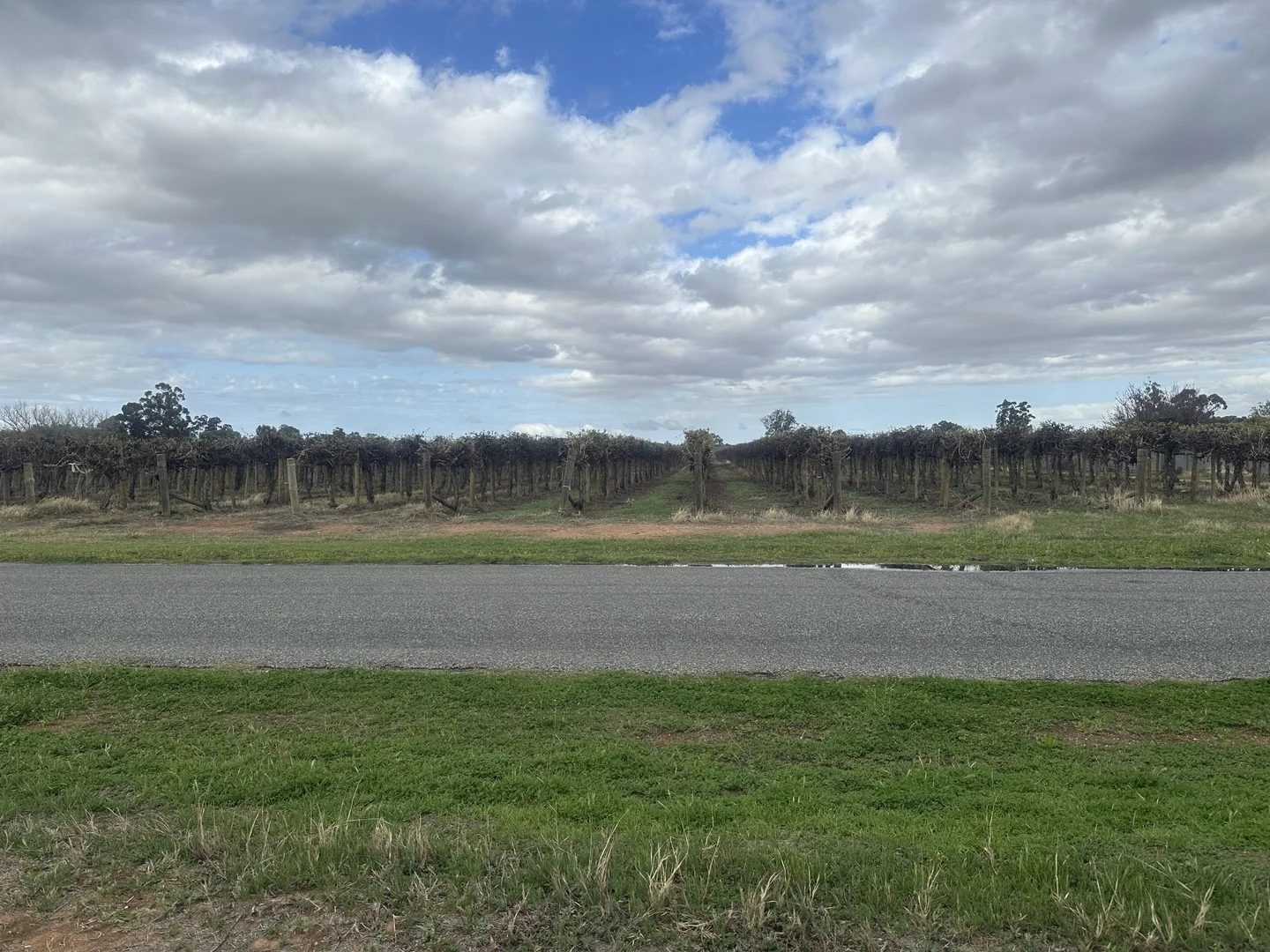 Lot 24 Tarcoola Street, Renmark West SA 5341