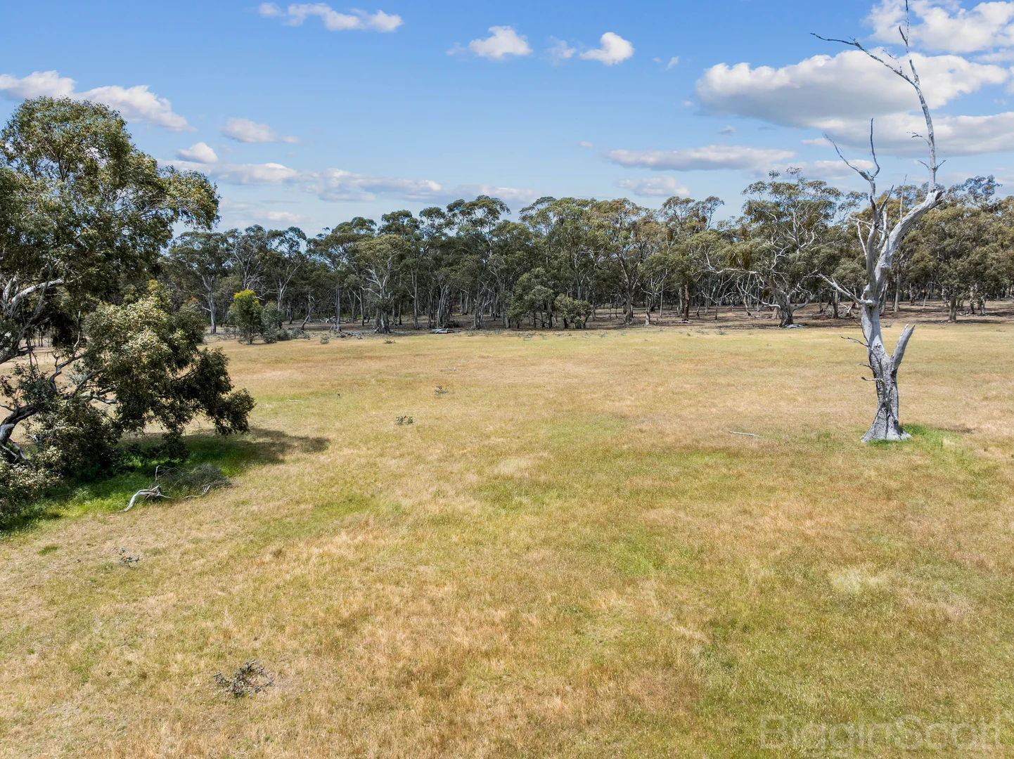 Additional image 15 of 260 Deep Creek Road, Campbelltown VIC 3364