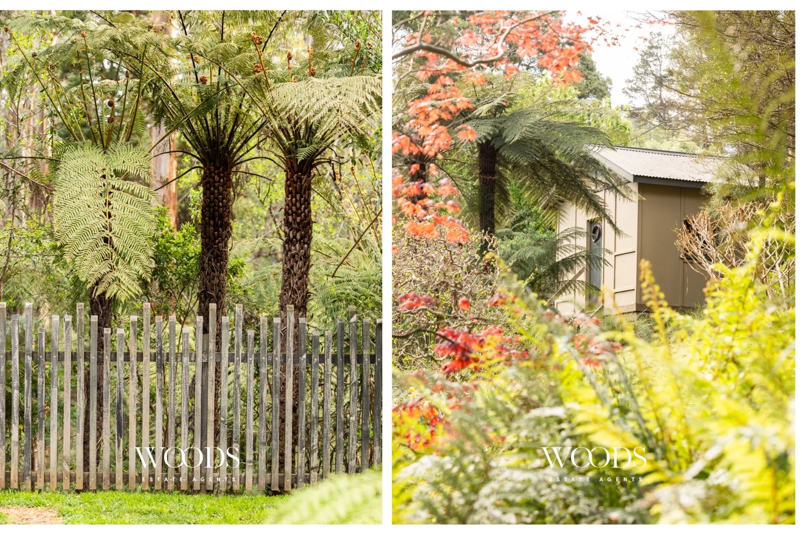 Additional image 30 of 22 Colehurst Crescent, Sassafras VIC 3787