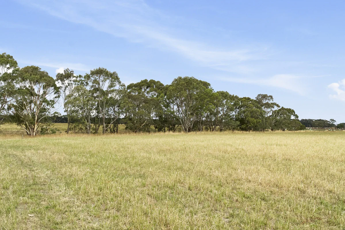 Additional image 10 of Castle Carey Road, Glenormiston North VIC 3265