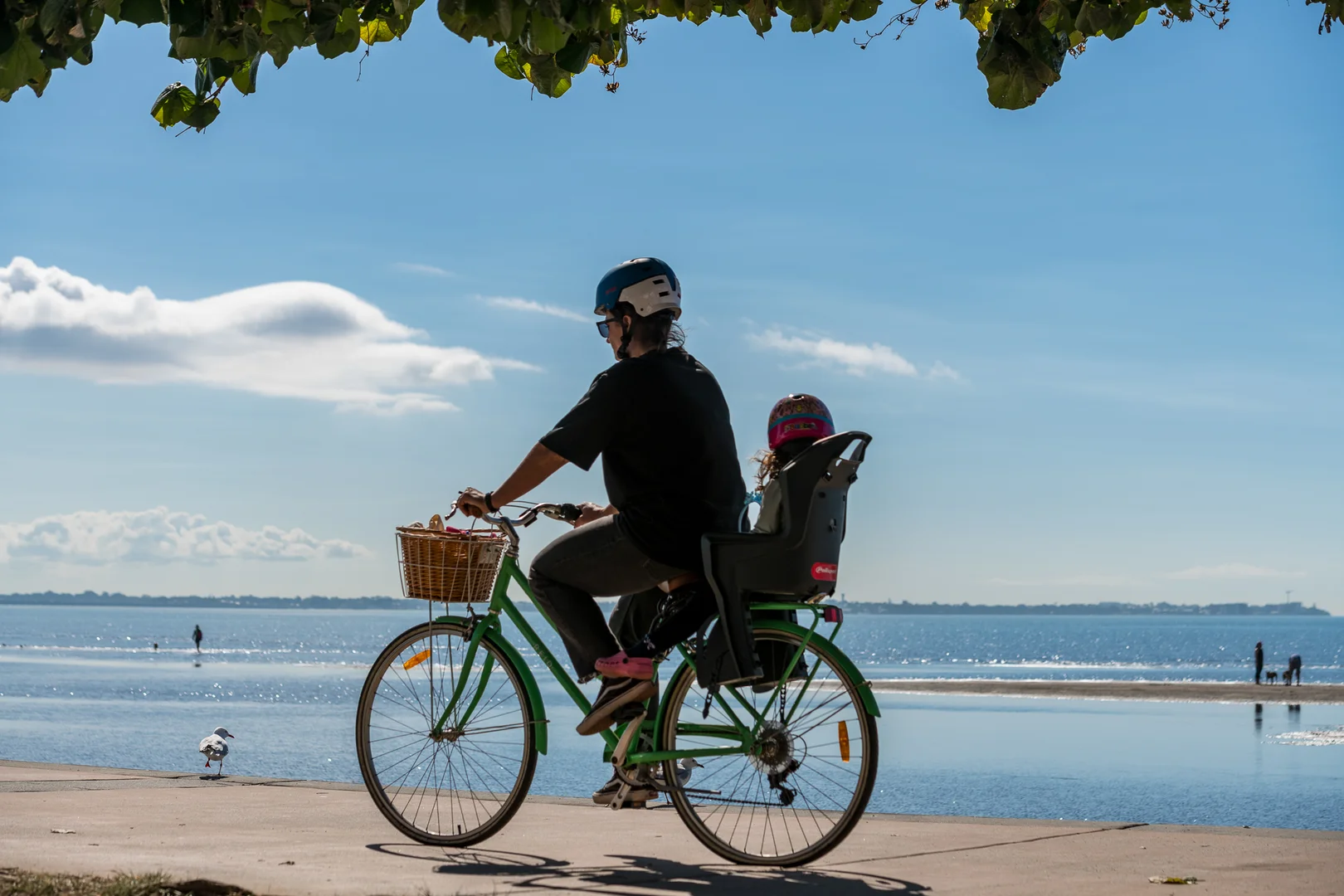 Additional image 46 of 48 Flinders Parade, Sandgate QLD 4017