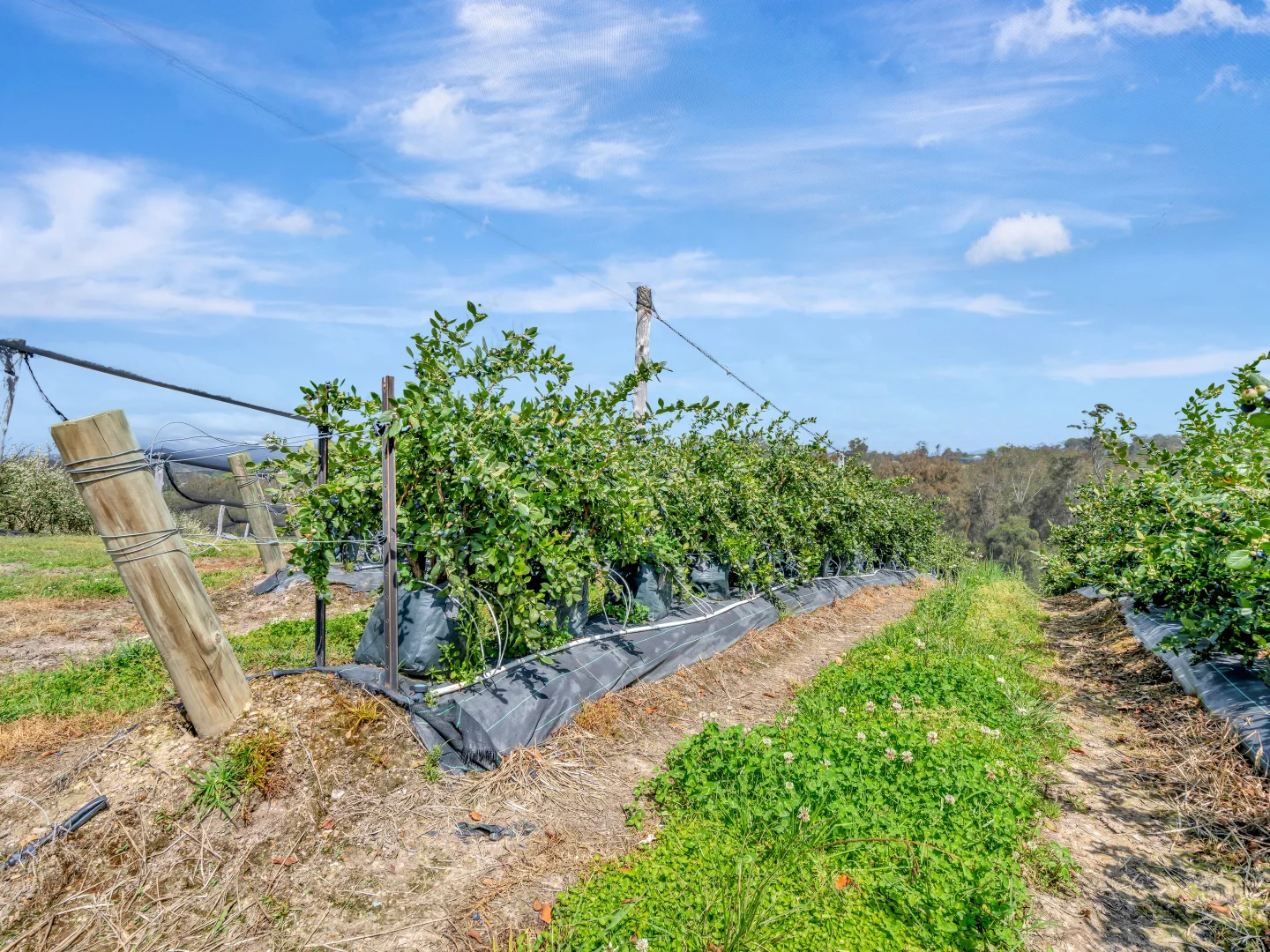 Additional image 16 of 13 Schuppe Drive, Congarinni North NSW 2447