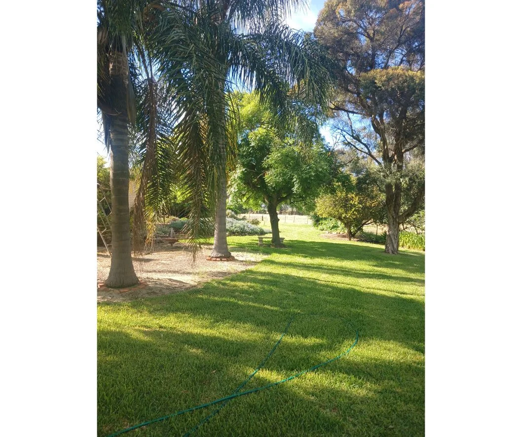 Additional image 4 of 511 Walbundrie Road, Culcairn NSW 2660