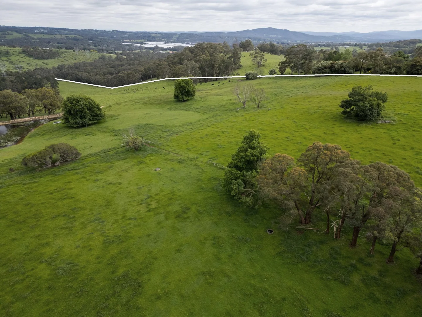 Additional image 16 of 125 Sheepstation Creek Road, Yellingbo VIC 3139