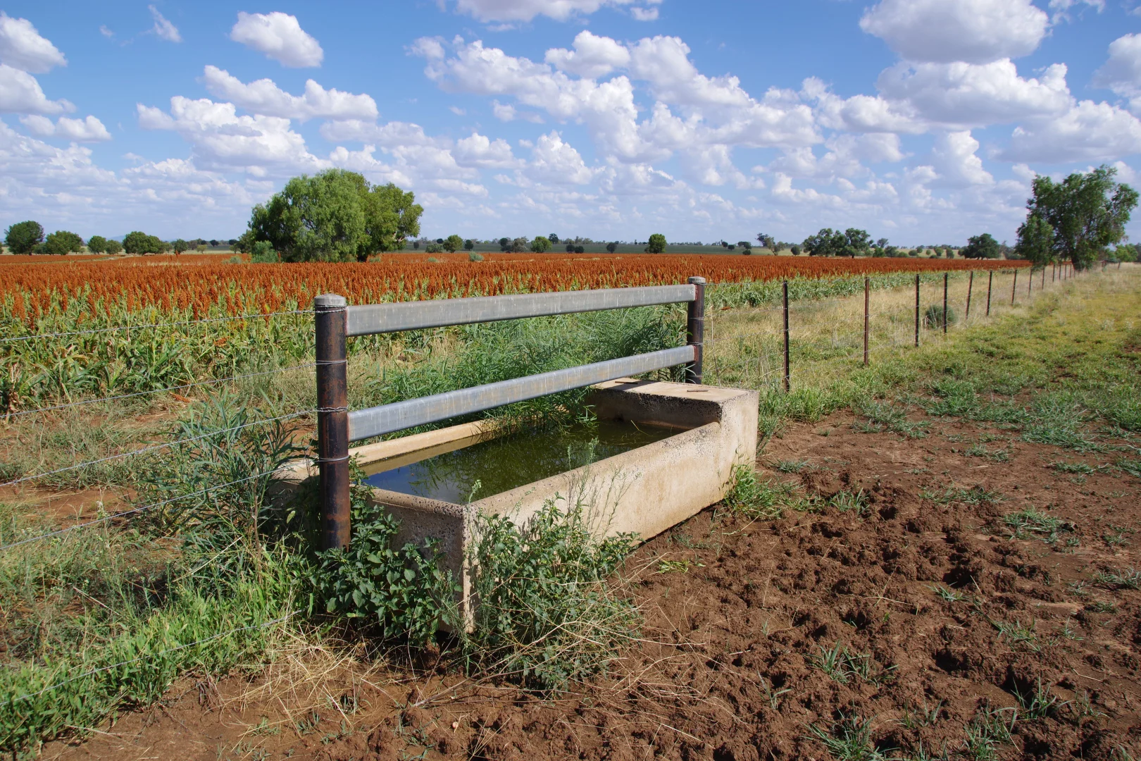 Additional image 19 of 1676 Willala Road, Boggabri NSW 2382