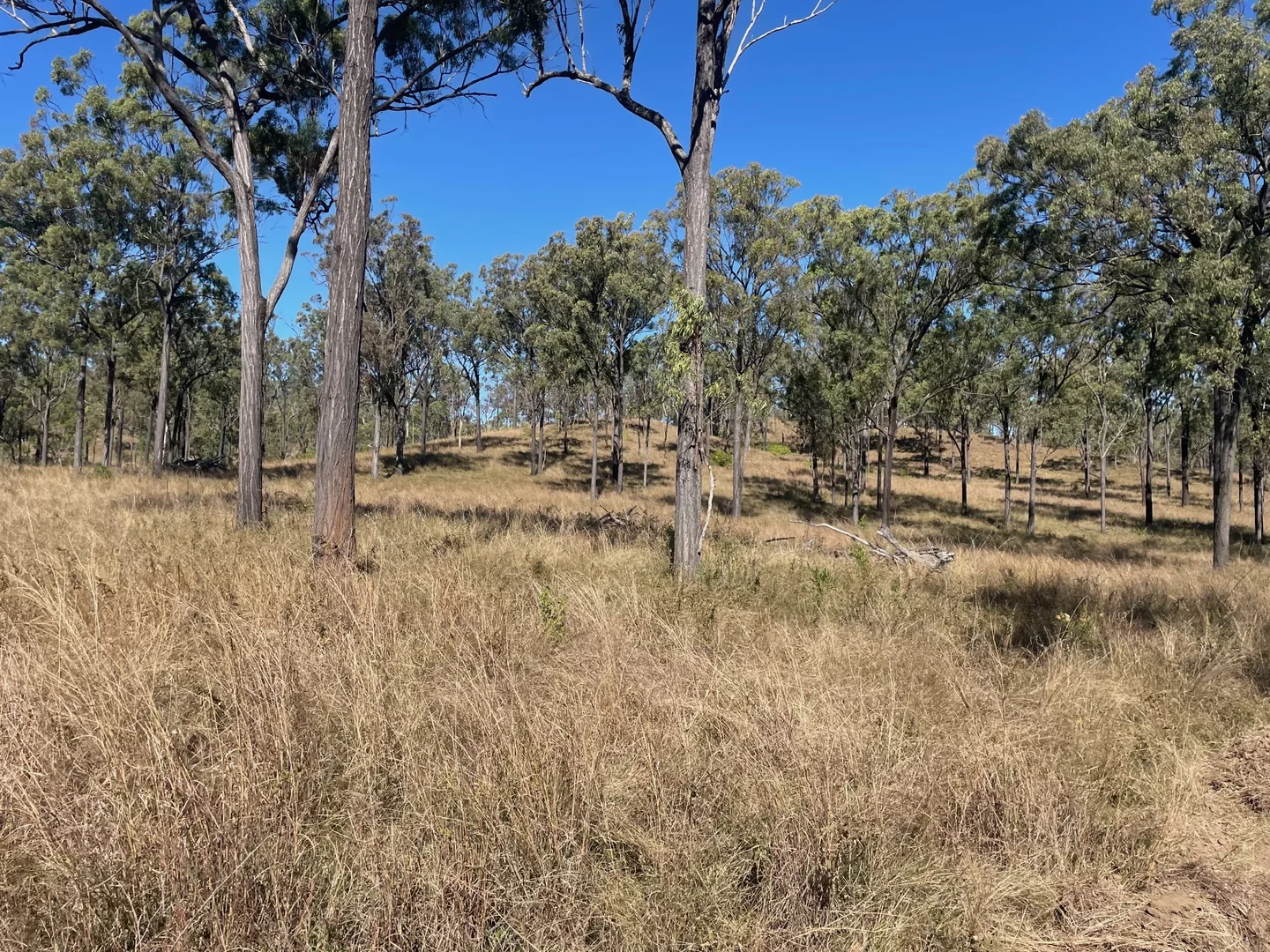 Additional image 2 of 186 Mungungo Creek Road, Monto QLD 4630