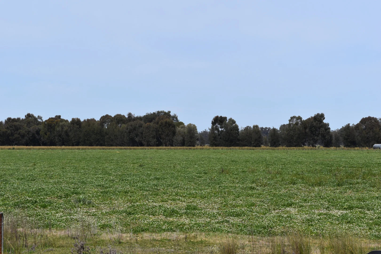 Additional image 16 of 2071 Yarrabandai Road, Bedgerabong NSW 2871