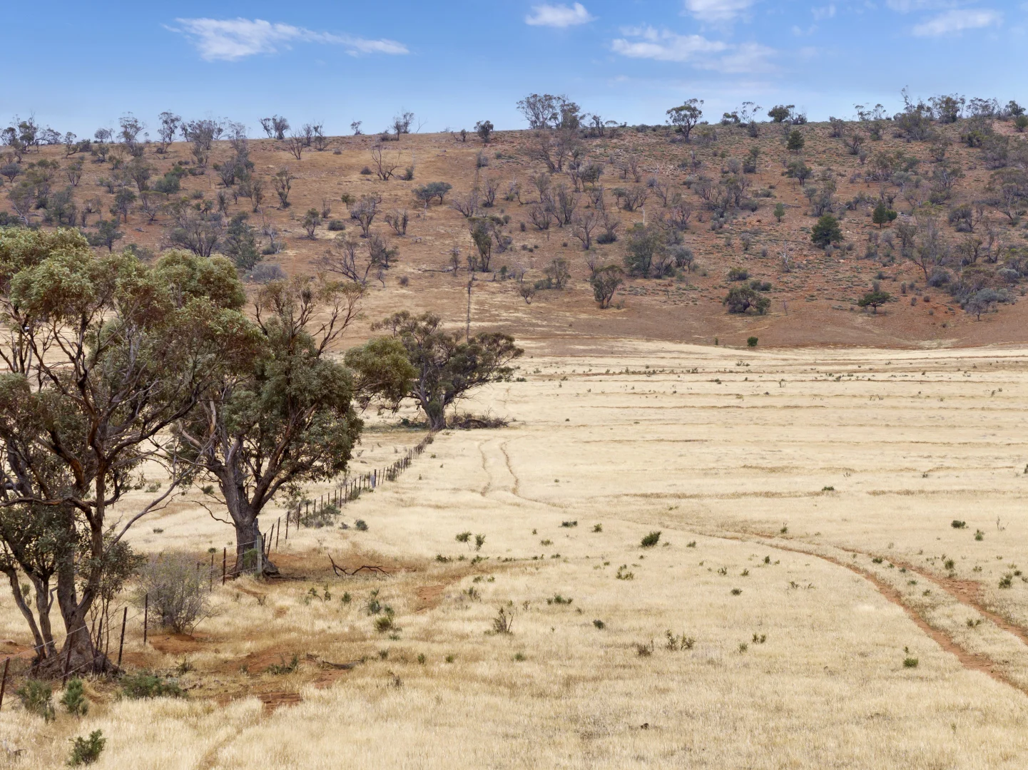 Additional image 12 of 95 Finlay Road, Quorn SA 5433