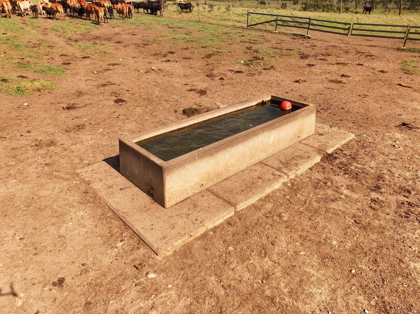 Additional image 19 of Russell Park Road, Clermont QLD 4721