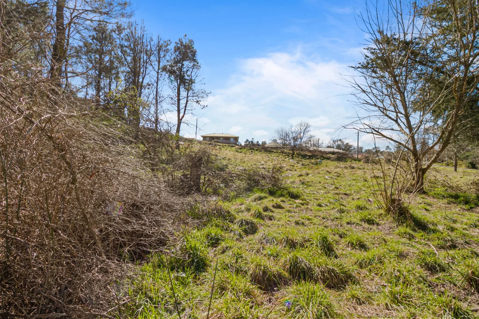 Additional image 3 of 72 Hill Street, Uralla NSW 2358