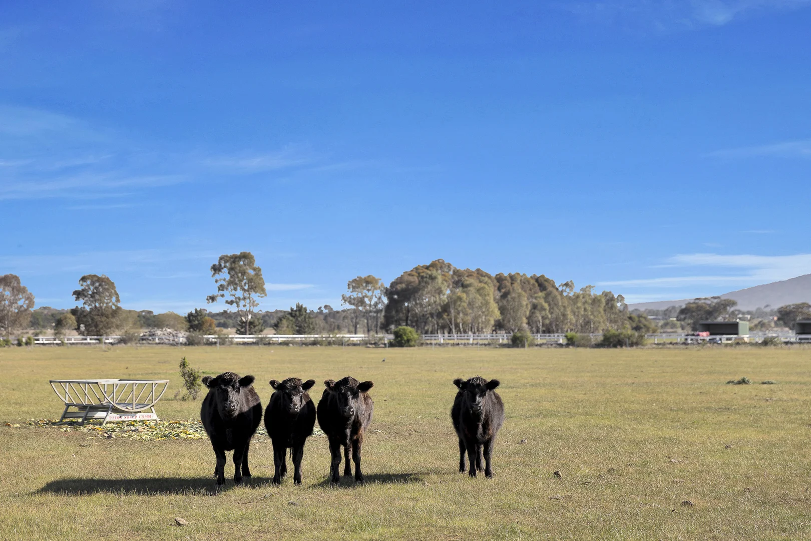 Additional image 18 of 120 Narraburra Road, Little River VIC 3211