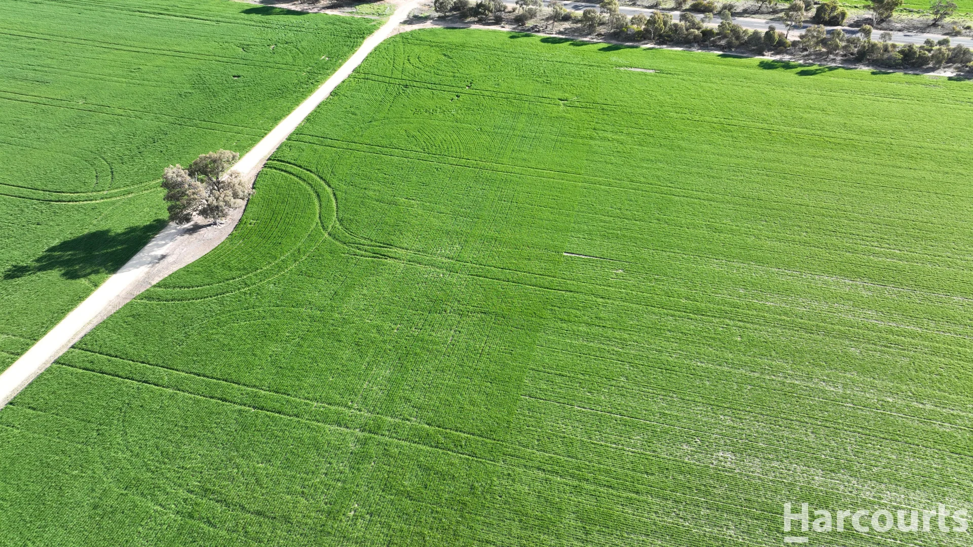 Additional image 23 of 4429 Hopetoun-Rainbow Road, Rainbow VIC 3424