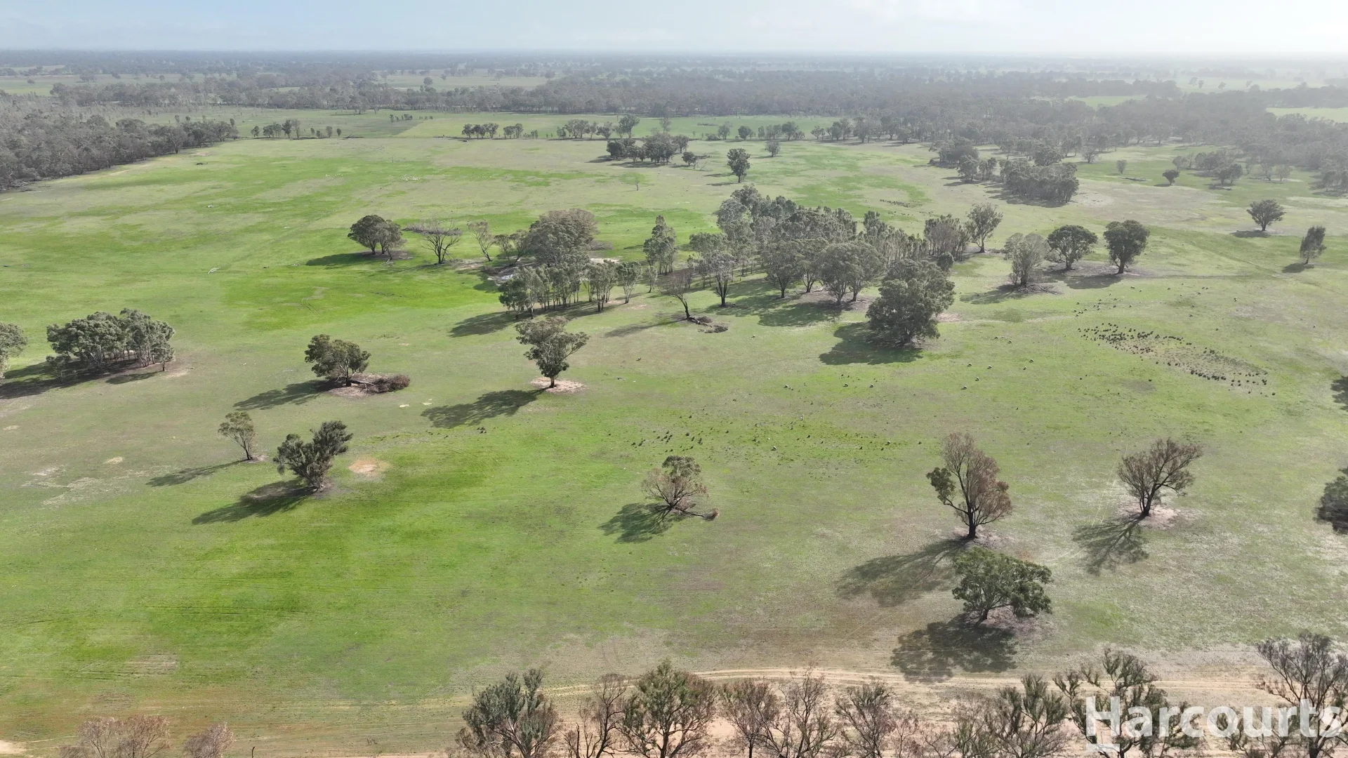 Additional image 33 of 6080 Western Highway, Dadswells Bridge VIC 3385