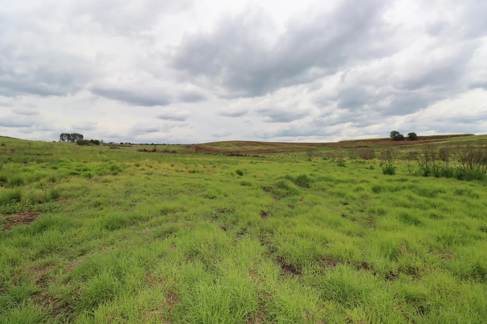 Additional image 9 of 532 Lynwood Road, North Isis QLD 4660