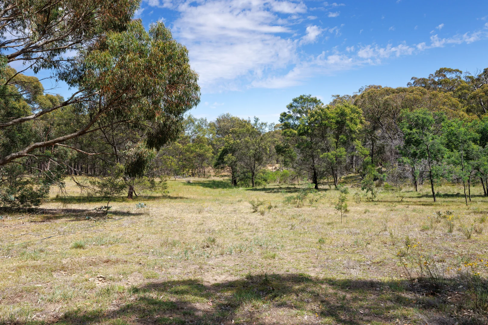 Additional image 23 of 55 Dons Lane, Glenhope East VIC 3522