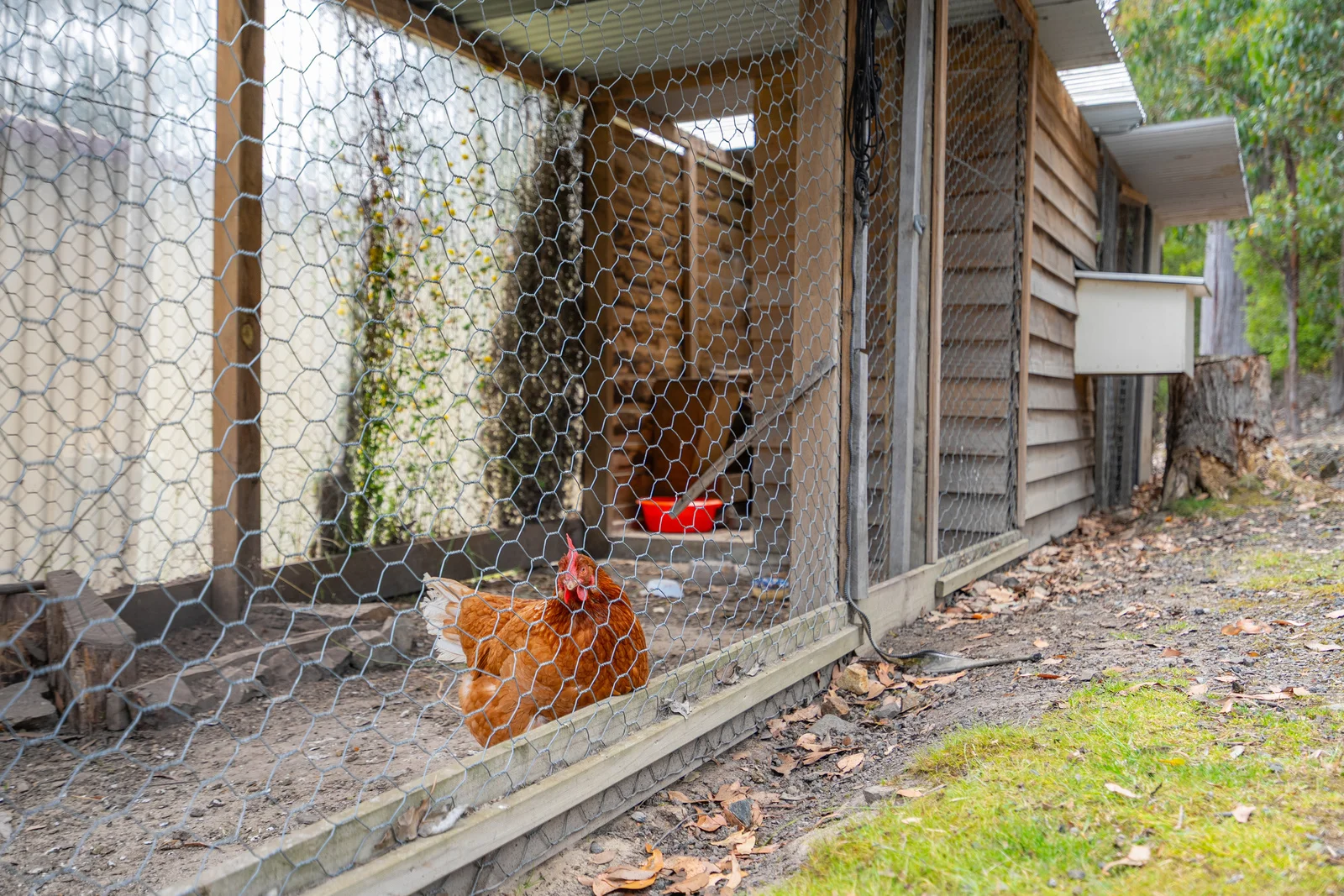 Additional image 28 of 221 Groombridges Road, Kettering TAS 7155