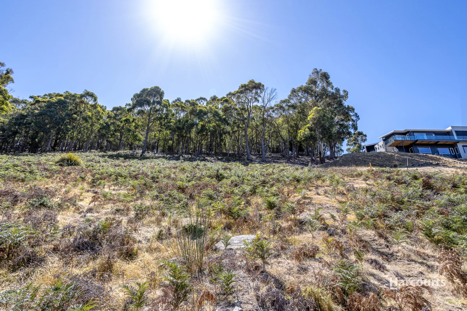 Additional image 5 of Lot 4 Stevens Farm Drive, West Hobart TAS 7000