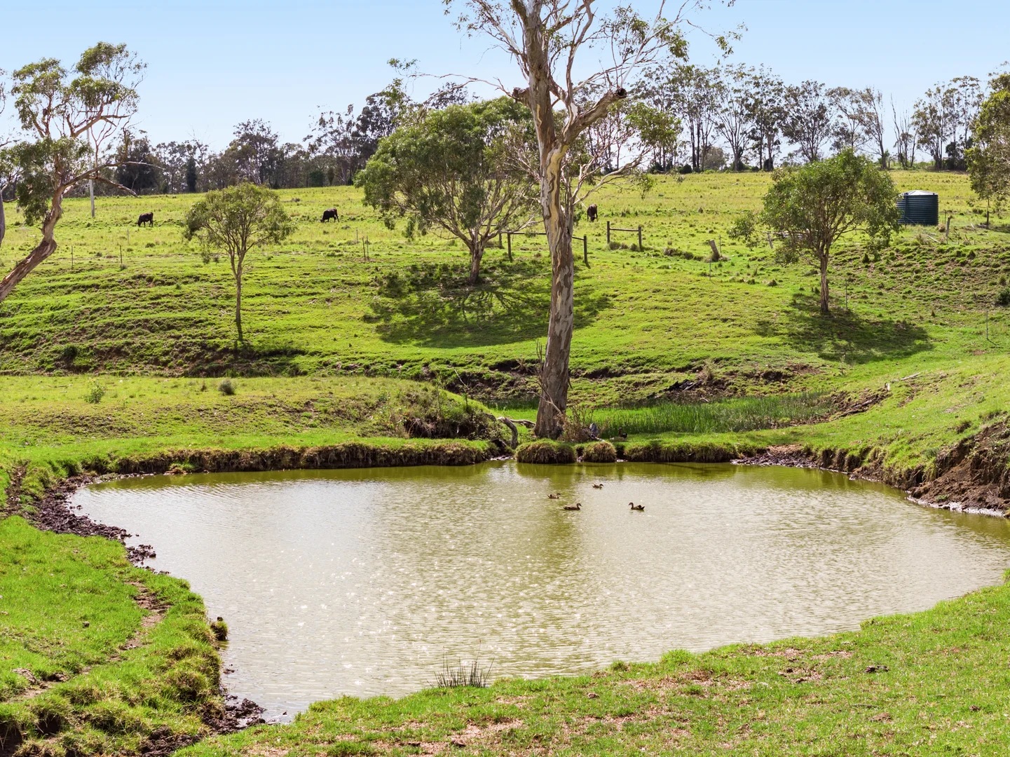 Additional image 23 of 138 Djuan Road, Crows Nest QLD 4355
