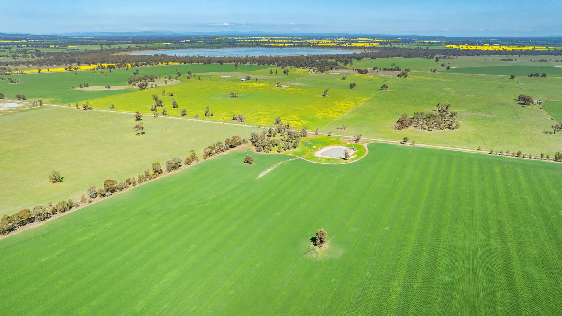 Additional image 19 of BOOROOL Mossdale Road, Balldale NSW 2646