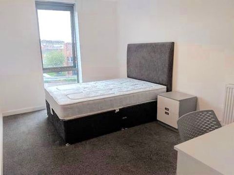Henry Street, Sheffield S3, Terraced house to rent