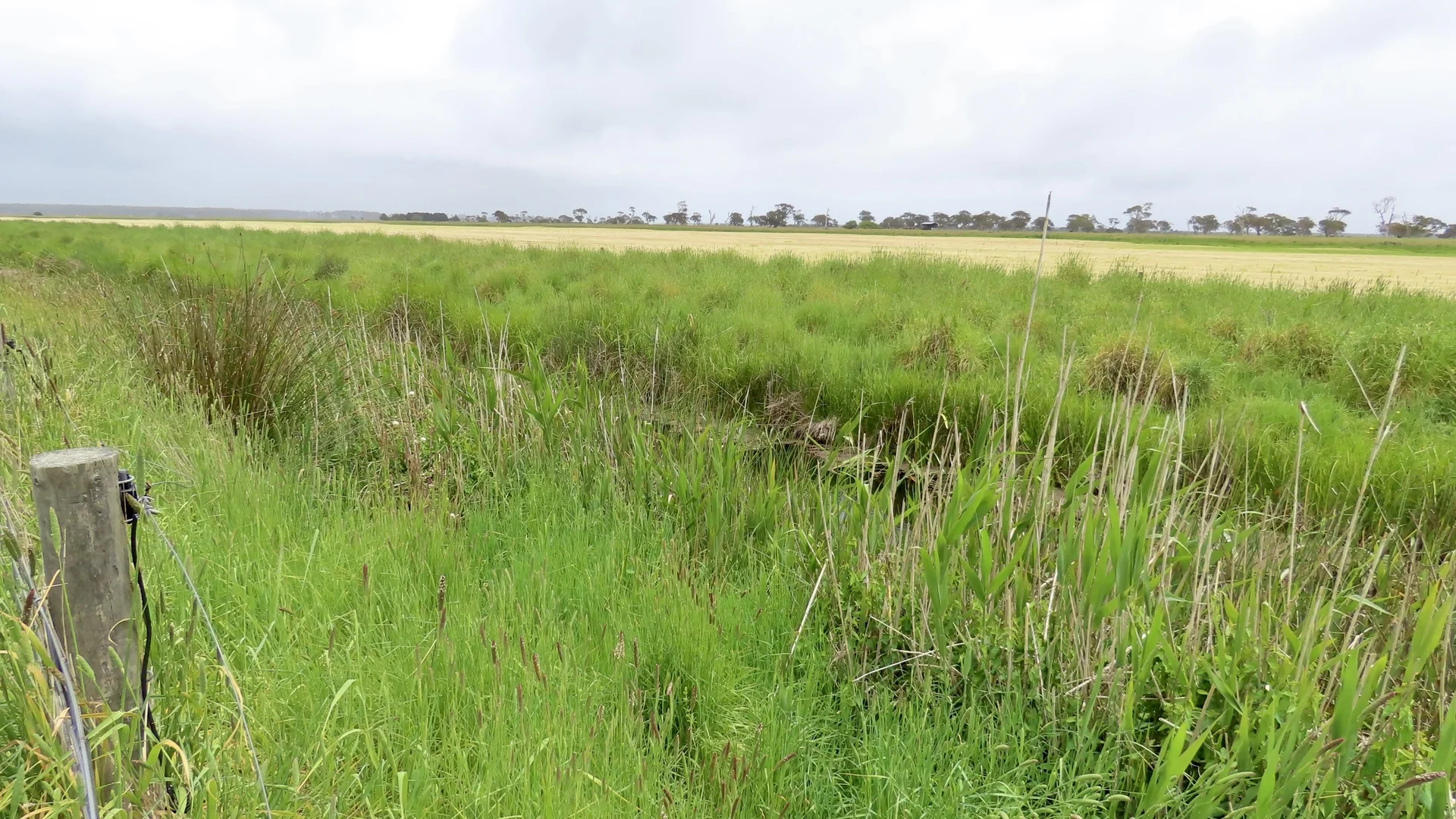 Additional image 30 of Contact Agent, Macarthur VIC 3286