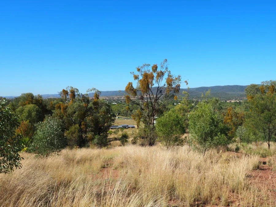 Additional image 24 of 8 White Street, Bingara NSW 2404