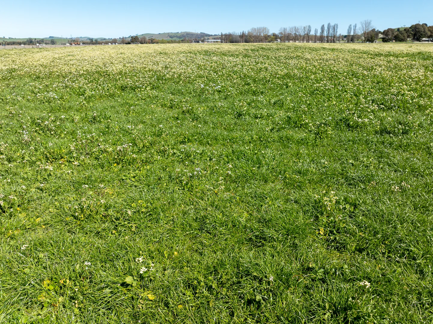 Additional image 27 of 3580 Mid Western Highway, Blayney NSW 2799