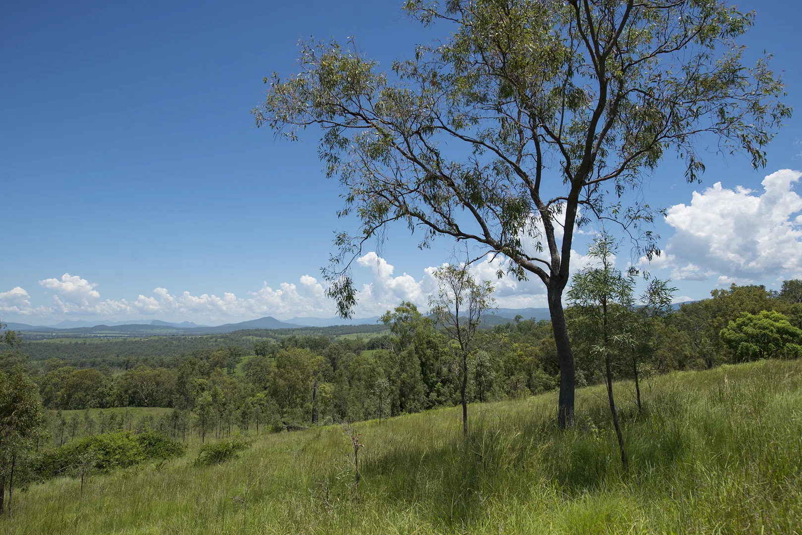 Additional image 18 of Corner Tralee & Waines Road, Mount Walker West QLD 4340