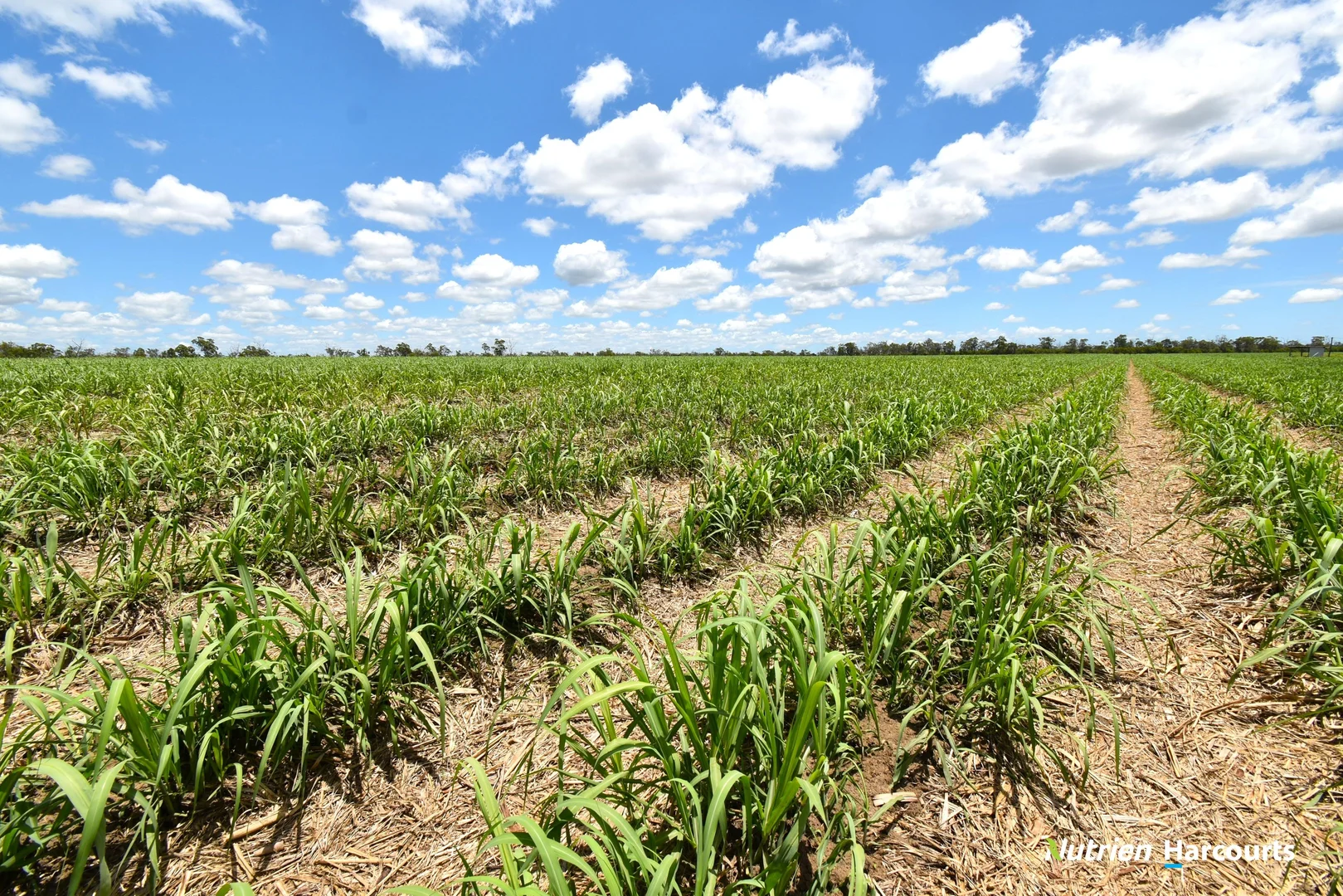 Additional image 19 of 3392 Childers Road, Gregory River QLD 4660