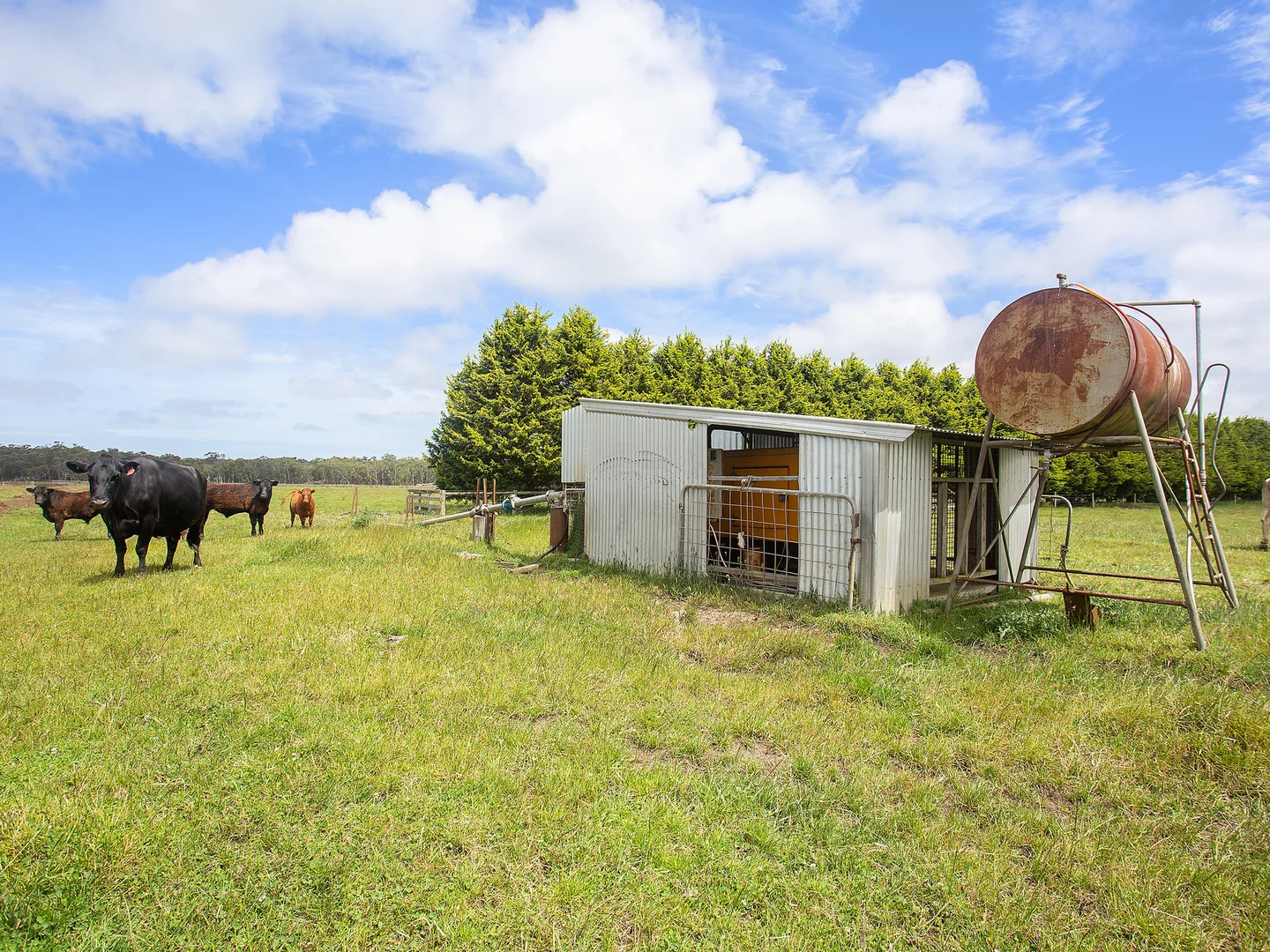 Additional image 4 of 931 Gorae Road, Gorae VIC 3305