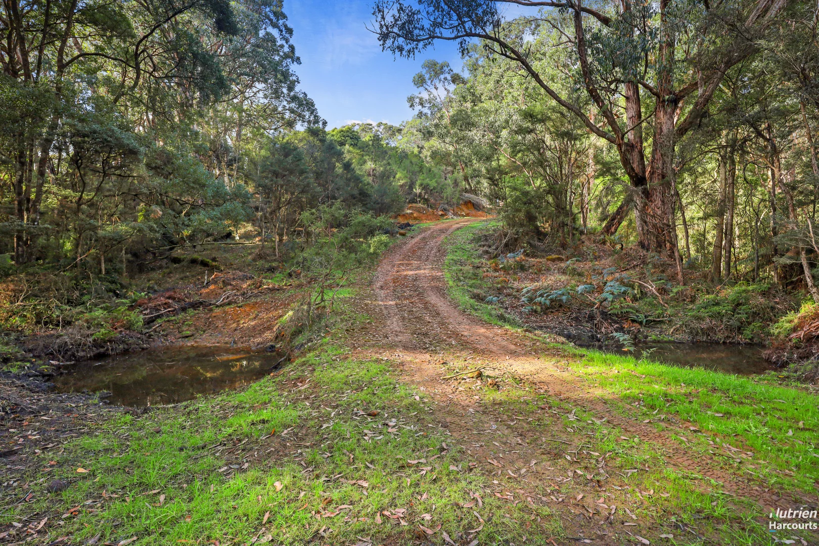 Additional image 5 of 201 Turrong Road, Cooriemungle VIC 3268