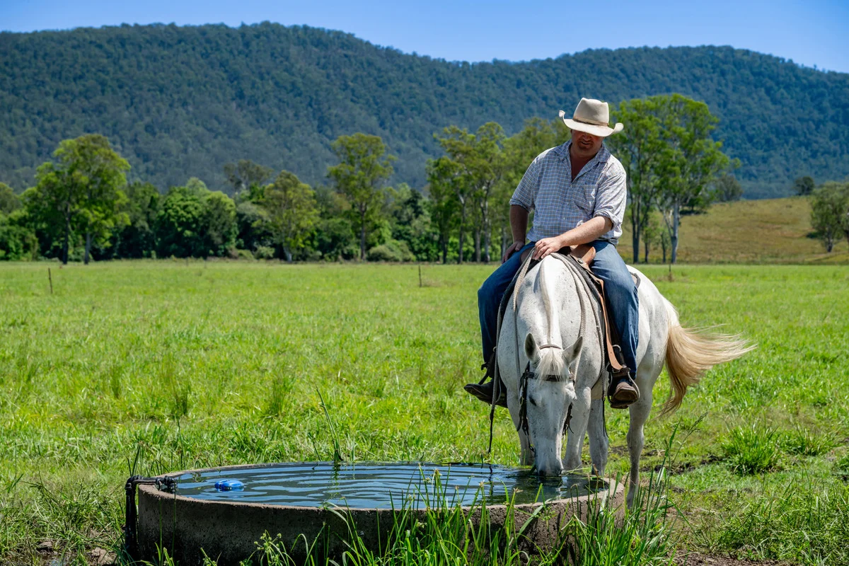 Additional image 29 of 800 Fawcetts Plain Road, Kyogle NSW 2474