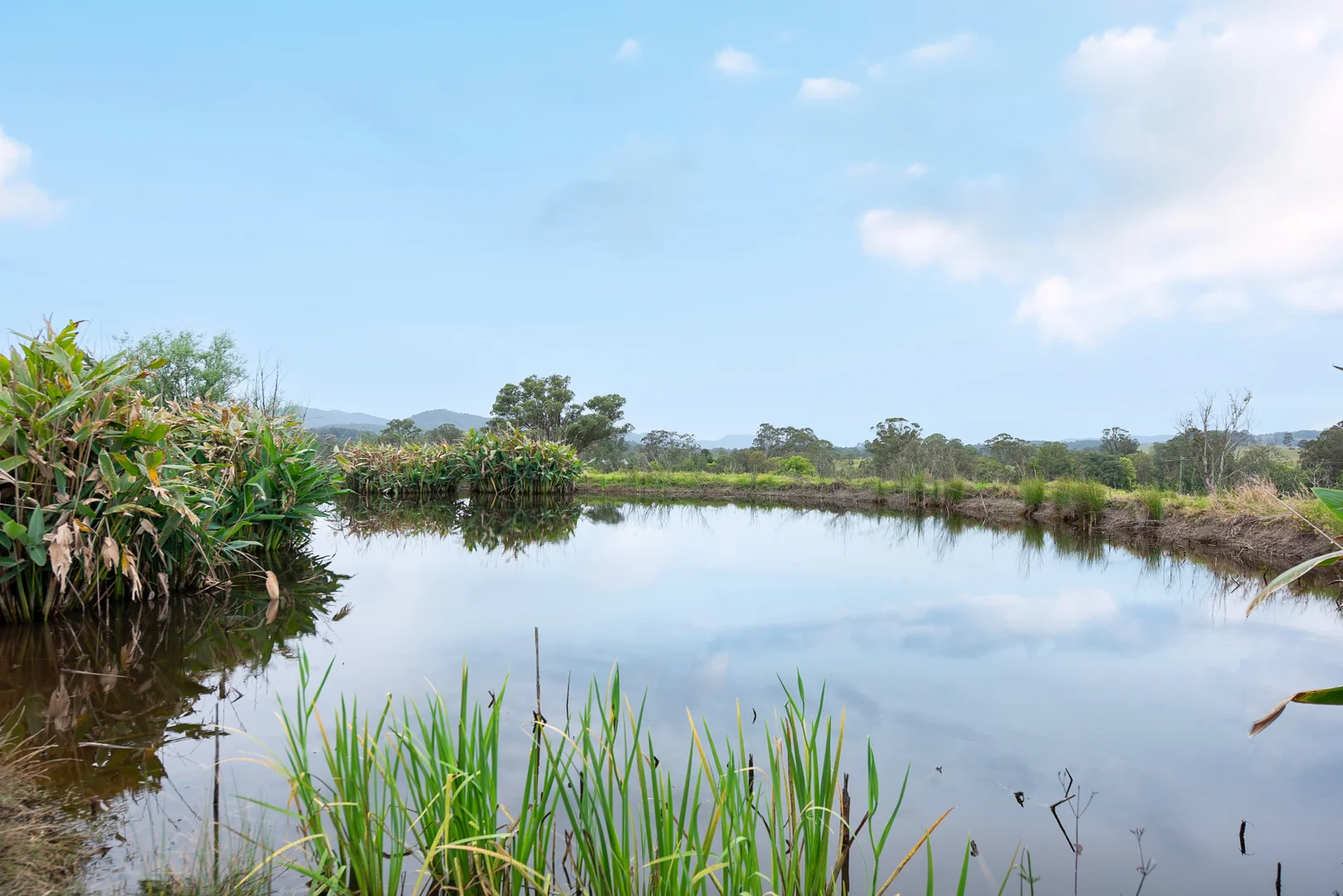 Additional image 30 of 2411 The Bucketts Way, Wards River NSW 2422