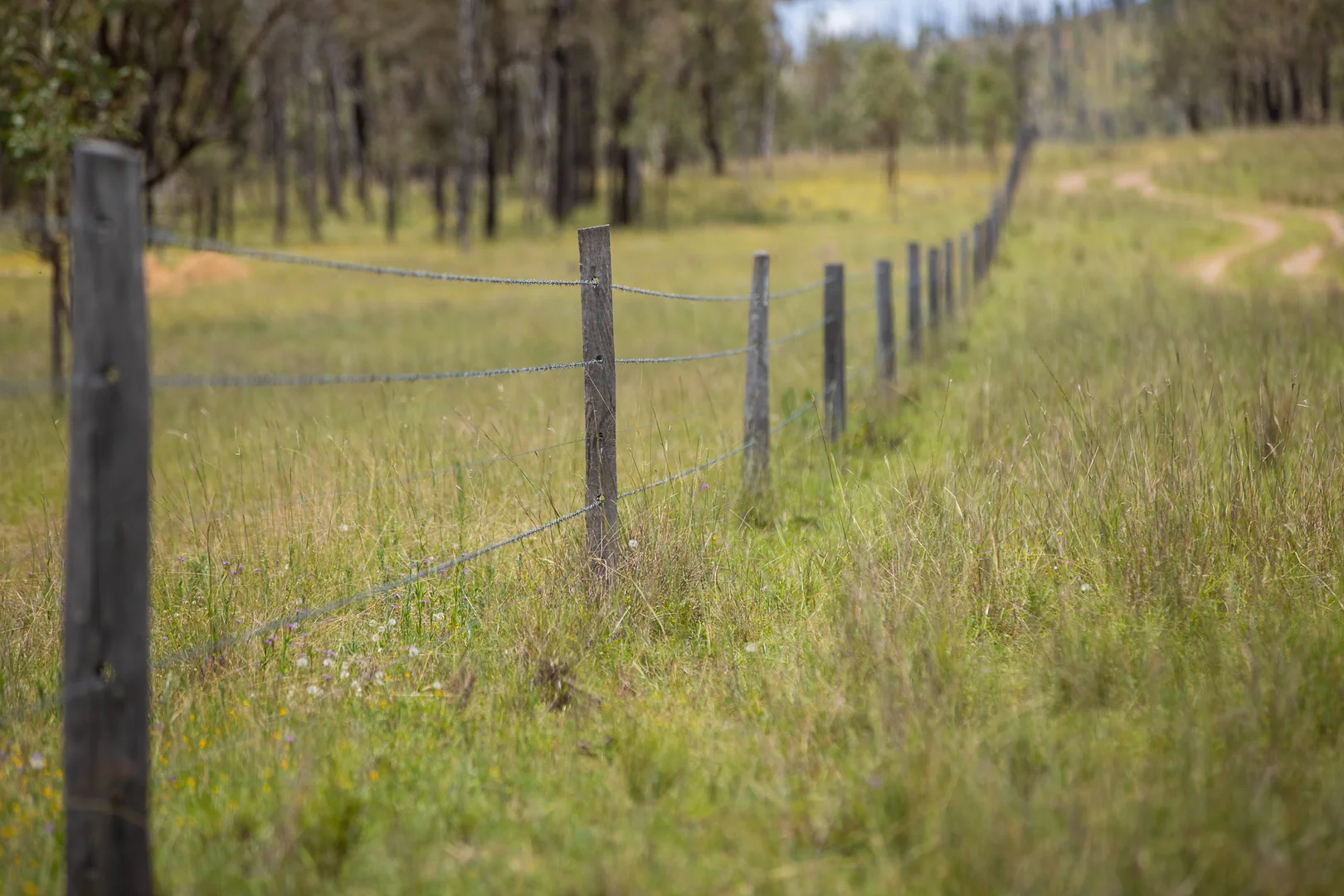 Additional image 12 of 'Hutton' 570 Hazeldene Road, Thanes Creek QLD 4370