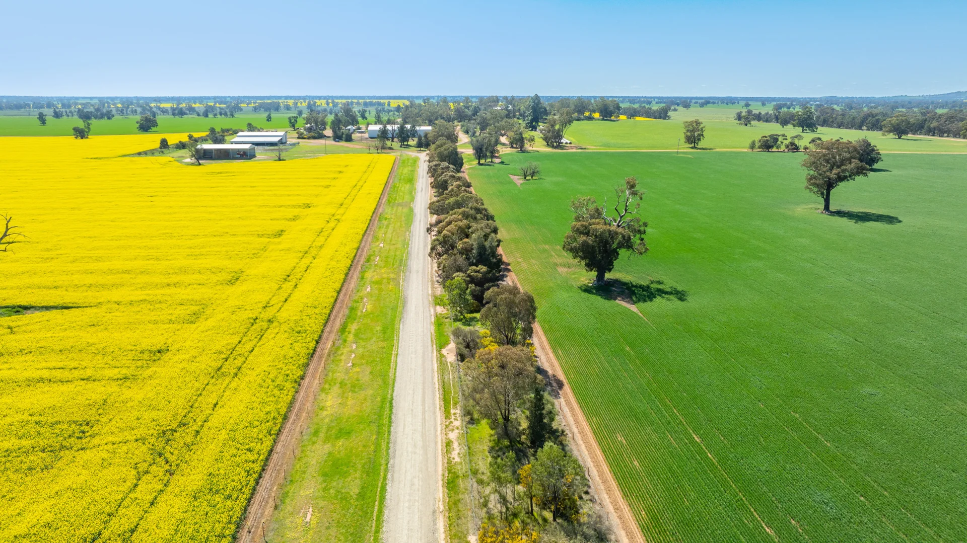 Additional image 43 of BOOROOL Mossdale Road, Balldale NSW 2646