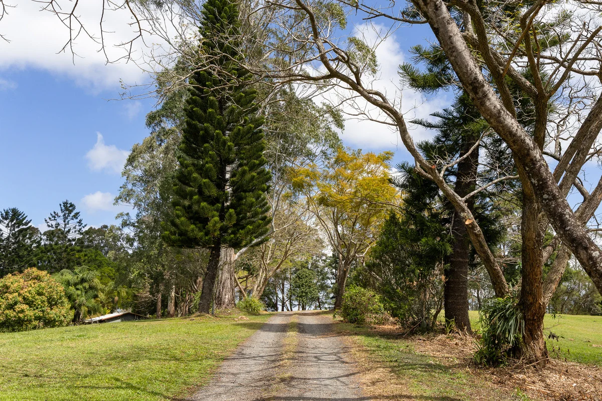 Additional image 5 of 121 Binna Burra Road, Binna Burra NSW 2479