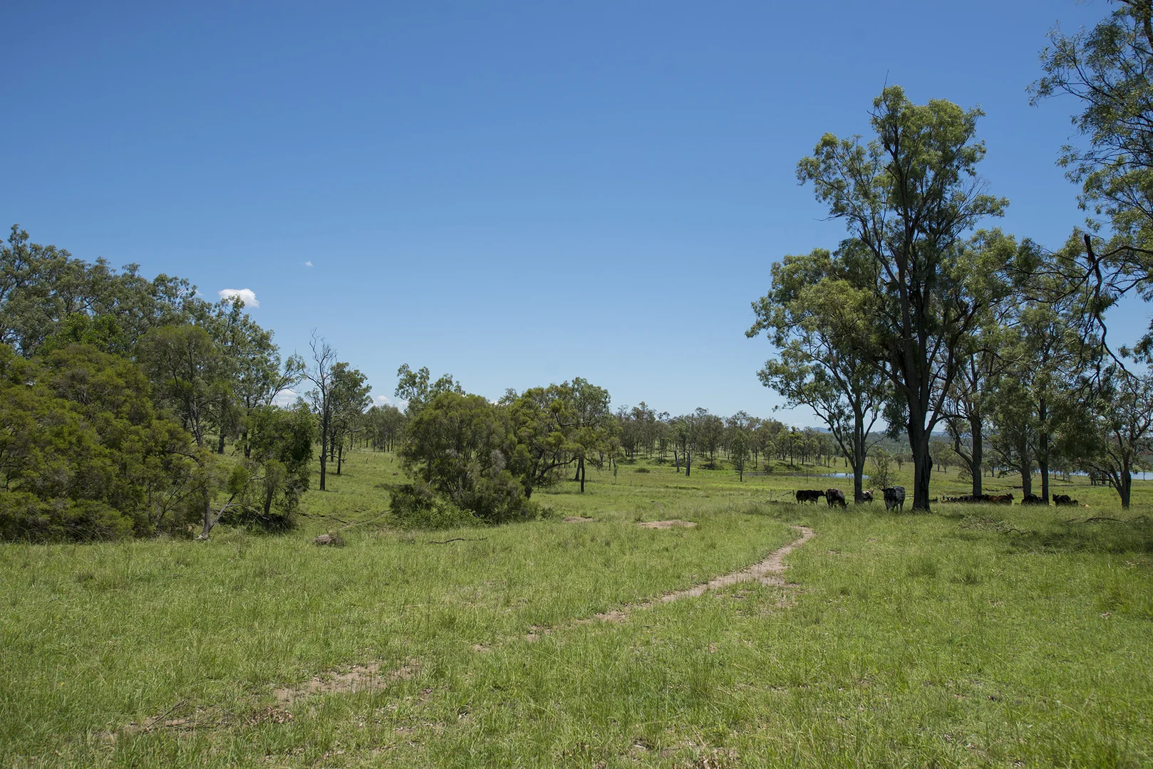 Additional image 9 of Corner Tralee & Waines Road, Mount Walker West QLD 4340