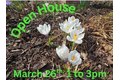 Additional image 44 of 4 Orchard Ave, Owego, NY, 13827