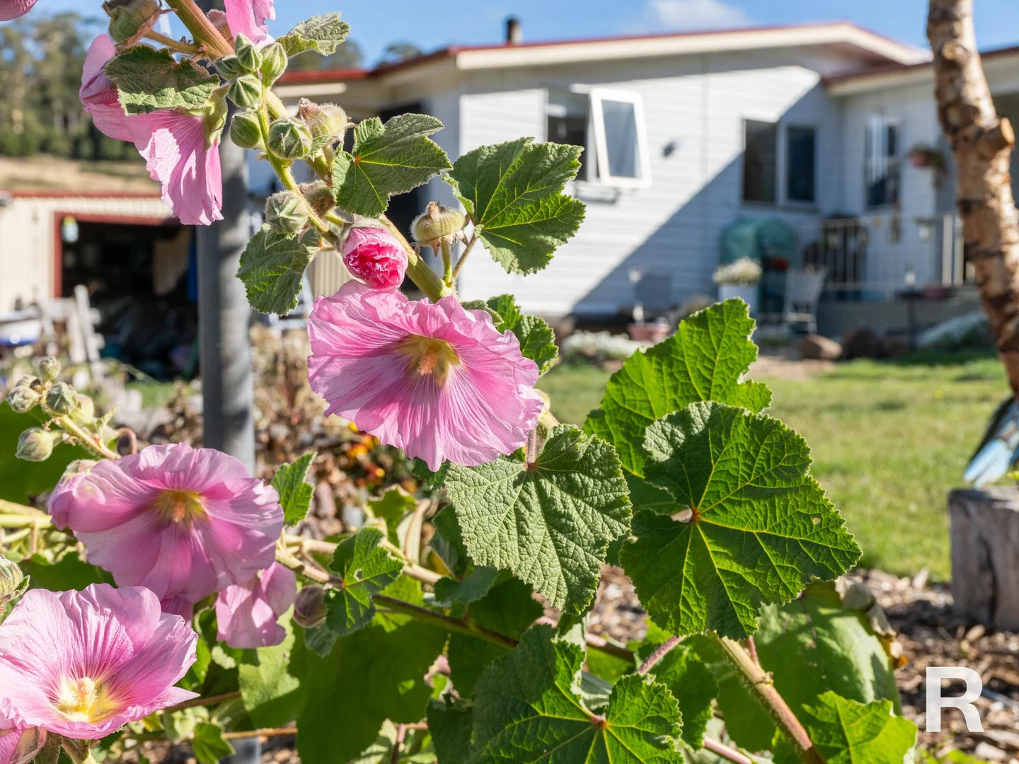 Additional image 24 of 8613 Lyell Highway, Ouse TAS 7140