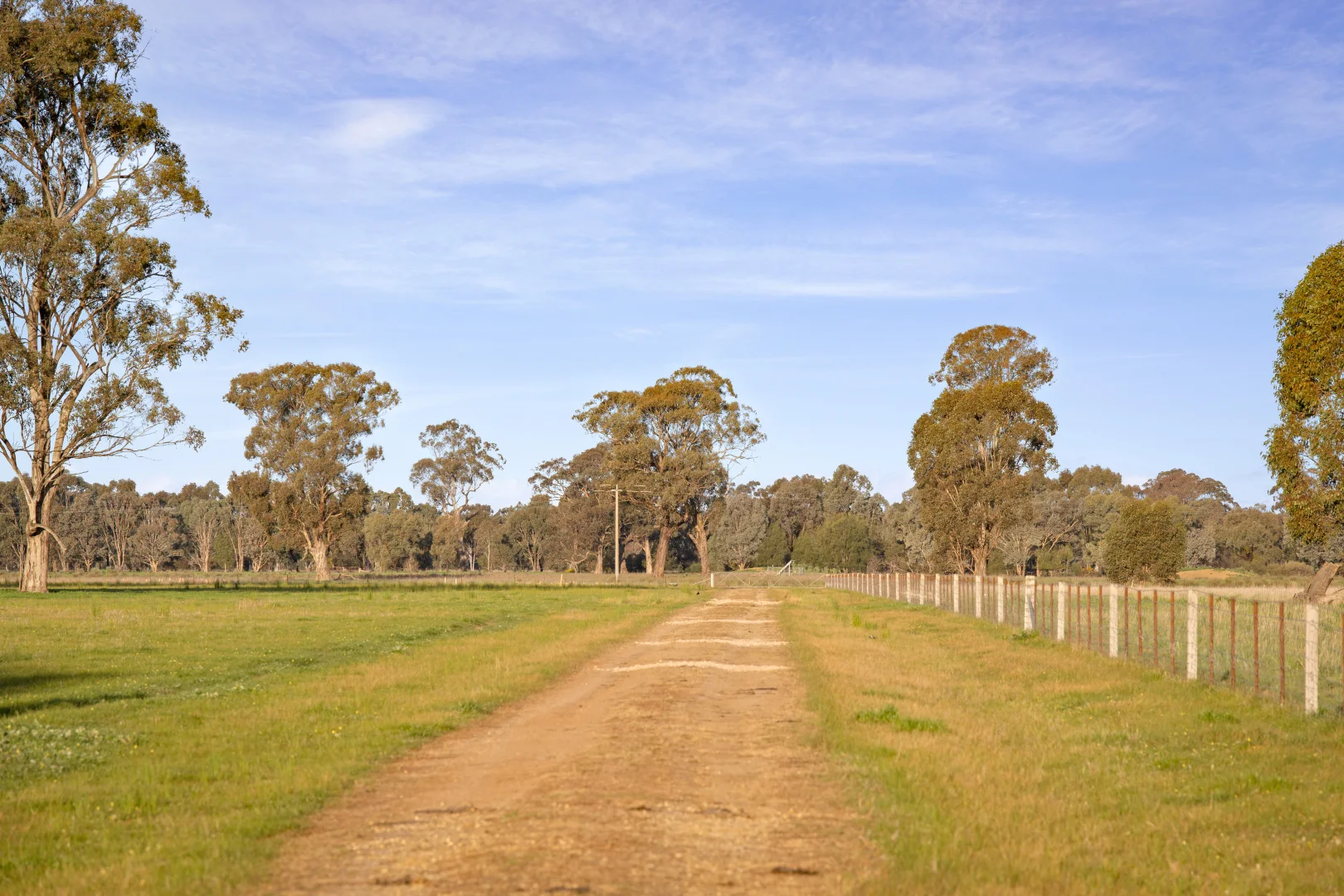 Additional image 25 of 617 Police Paddocks Rd, Carlyle VIC 3685