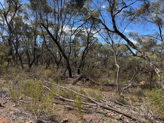 Additional image 9 of 2 Josephine Drive, Wedderburn VIC 3518